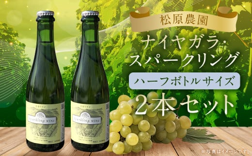 「ナイヤガラ・スパークリング」ハーフボトル（375ml×2本）計750ml セット ぶどう ワイン スパークリングワイン 酒 葡萄 テーブルワイン 北海道産 2133641 - 北海道蘭越町