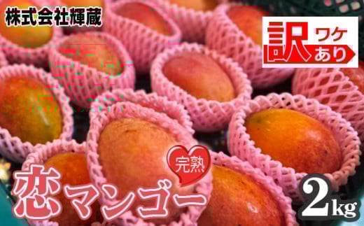 No.219 【訳あり】樹上完熟　恋マンゴー約2kg（家庭用化粧箱入） ／ 果物 フルーツ デザート 南国 コク 甘み 愛知県 特産品 1994549 - 愛知県阿久比町