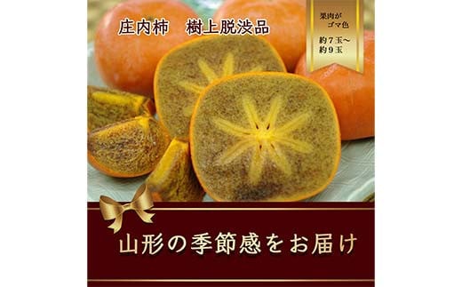 樹上脱渋 庄内柿 果肉が黒ゴマ色の種無し柿 7～9玉(約2kg) 【2025年発送】 FSY-2190 2156804 - 山形県山形県庁