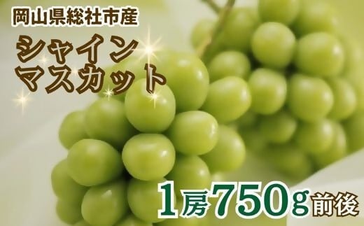 ぶどう「シャインマスカット（晴王）」岡山県総社市産【2025年産先行予約】25-019-002