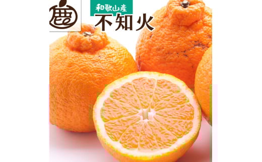 【先行予約】＜2月より発送＞厳選不知火7.5kg+250g（傷み補償分）＜2月より発送＞【デコポンと同品種・人気の春みかん】【光センサー食頃出荷】【ikd054D】