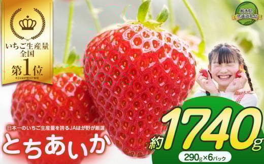 【2026年先行予約】大人気！日本一のいちご生産量を誇るJAはが野が厳選 最旬 とちあいか 290g×6P | いちご とちおとめ 甘い 美味しい 果物 共通返礼品 フルーツ デザート 栃木県 那珂川町 送料無料