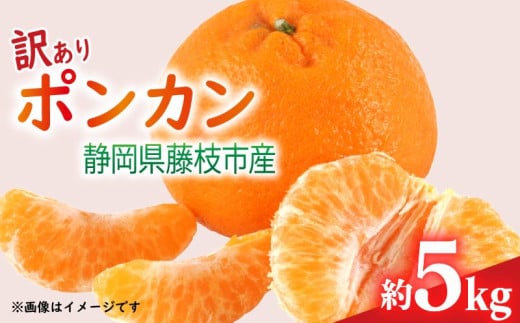【先行予約：2026年1月下旬より発送】 訳あり みかん 5kg M～2L ポンカン ミカン 果物 国産 フルーツ 柑橘 数量限定 静岡県産 蜜柑 大小 ミックス 不揃い ビタミン 美味しい 静岡県 藤枝市 ふるさと人気