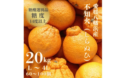 ＜糖度14.0以上酸1.4以下＞糖酸選別品 愛媛産 不知火 (しらぬひ) 20kg＜H20-93＞【1625296】