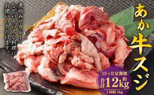 【12ヶ月定期便】 あか牛スジ 1kg （500g×2パック） 計12kg あか牛 牛肉 牛 お肉 肉 おかず 冷凍