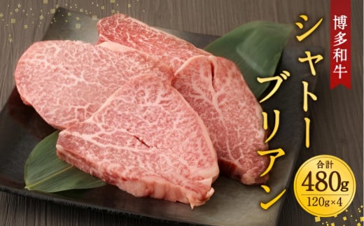 博多和牛シャトーブリアン　480g　