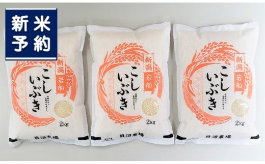 【新米受付・令和7年産米】 こしいぶき 白米6kg(2kg×3) 新潟県村上市岩船産 1067102N 2143597 - 新潟県村上市