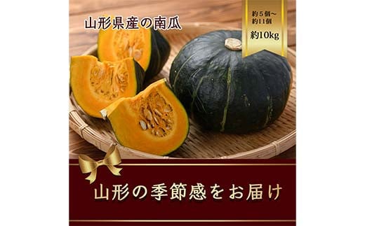 南瓜 くりあじ・くり将軍・みやこ等 品種おまかせ 約10kg(5～11個) FSY-2189