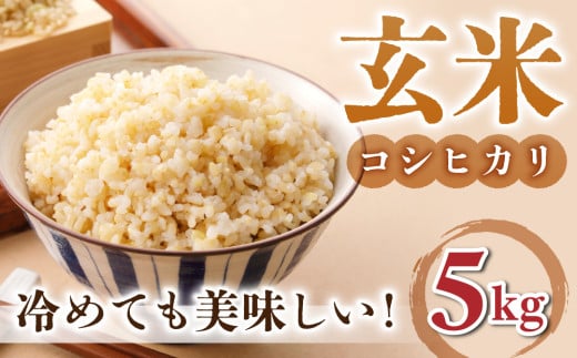 【小田農園】冷めても美味しいコシヒカリ　玄米5kg　｜※2025年9月下旬以降、発送開始予定　※着日指定不可
