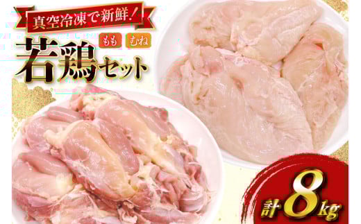 鶏肉 セット 宮崎県産 若鶏 もも身 むね身 各 1kg 4p 計8kg セット [TRINITY 宮崎県 日向市 452061338] 業務用 とり肉 もも もも肉 モモ モモ肉 鶏肉もも むね肉 むね ムネ肉 胸 宮崎 詰め合わせ 冷凍 肉 2144510 - 宮崎県日向市