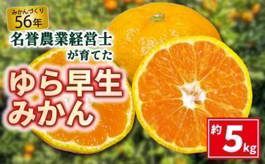 【早期予約10月発送】 ゆら 早生 みかん 約 5kg 【 はら みかん 農園 】 柑橘 オレンジ 沼津 静岡 フルーツ 直送 数量 限定 1257789 - 静岡県沼津市
