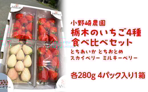 【先行受付】いちご王国栃木 いちご4種食べ比べセット (とちあいか とちおとめ スカイベリー ミルキーベリー各280g 4パック入り1箱) ｜果物 栃木県産 小野崎農園 数量限定 期間限定※2026年1月上旬～3月下旬頃に順次発送予定 2141316 - 栃木県塩谷町