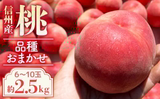 【2026年発送先行予約】※品種おまかせ※　初夏の桃　約2.5kg【6～10玉】　農家直送｜もも｜桃 1530737 - 長野県豊丘村