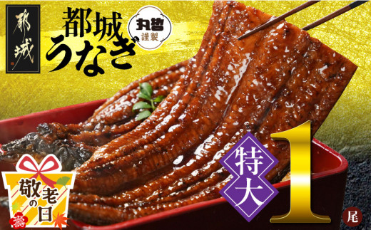 【敬老の日】宮崎県育ちの【特大】うなぎ蒲焼1尾210g以上≪山椒・たれ付≫≪9月11日～15日お届け≫_11-M301-KG_(都城市) 特大うなぎ蒲焼(有頭) 宮崎県産 真空 山椒・たれ付
