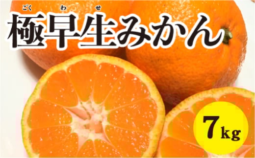 みかん 柑橘【先行受付】【2025年10月中旬以降発送】 甘さと酸味が絶妙！極早生 みかん 約7kg 三原 佐木島 017013 776915 - 広島県三原市
