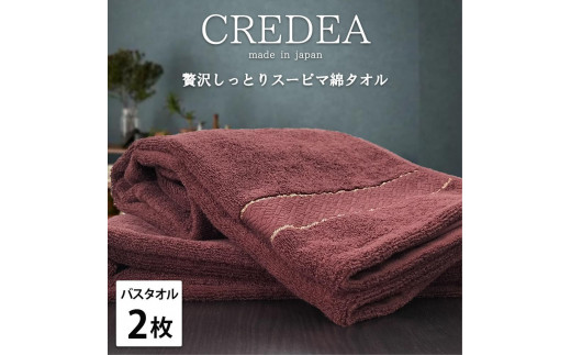 【バスタオル2枚組】スーピマ綿バスタオル 60×120cm クレB2-WRE 2142702 - 和歌山県和歌山市