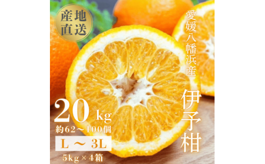 ＜爽やか香りと柔らかジューシーな果肉＞愛媛八幡浜産 宮内伊予柑 20kg＜H20-95＞【1625452】