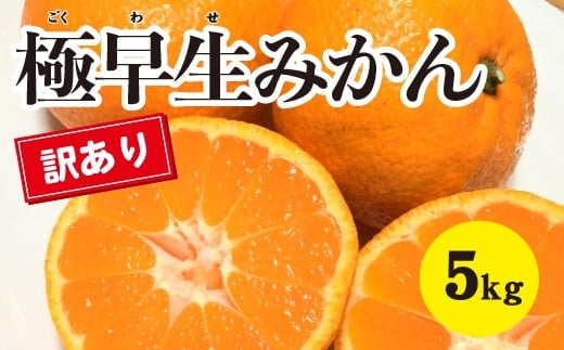 みかん 柑橘【先行受付】【2025年10月中旬以降発送】 甘さと酸味が絶妙！訳あり極早生 みかん 約5kg 三原 佐木島 017064