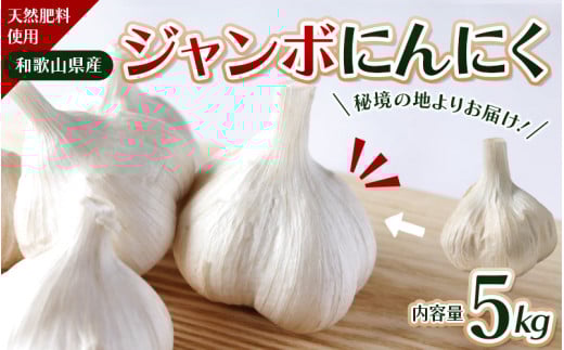 令和７年度産 秘境の地からお届けする あゆみファームのご家庭用ジャンボにんにく 5kg【7月下旬から順次発送】/ にんにく ニンニク ジャンボにんにく 予約受付 ガーリック 和歌山【aym017】 2143508 - 和歌山県古座川町