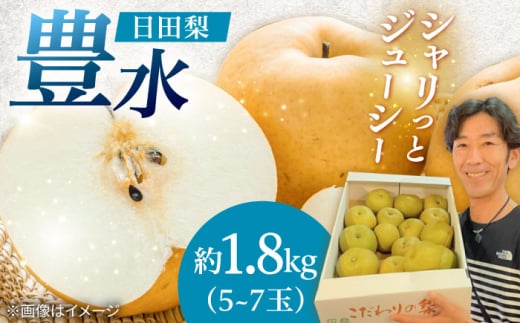 【先行予約・25年8月以降発送】 福澤梨園さんの梨 豊水約1.8kg（5〜7玉)  日田市 / 株式会社スカイファーム 梨 なし ナシ [AREU002]