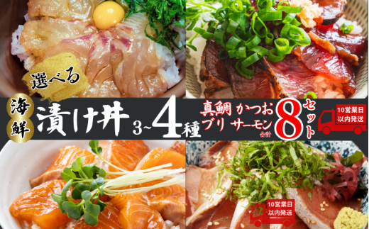 [10営業日以内発送] 種類 が 選べる 漬丼 厳選 3〜4種 8食 セット 真鯛 カツオ ブリ サーモン 10000円 食べ比べ 漬け丼 づけ丼 海鮮丼 鯛 たい かつお 鰹 鮭 冷凍 人気 魚介 海鮮 食べ比べ お手軽 加工品 簡単 晩ごはん 小分け パック 新鮮 鮮魚 養殖 国産 詰め合わせ ギフト プレゼント 本格 ふるさと納税 南予ビージョイ 愛南町 愛媛県
