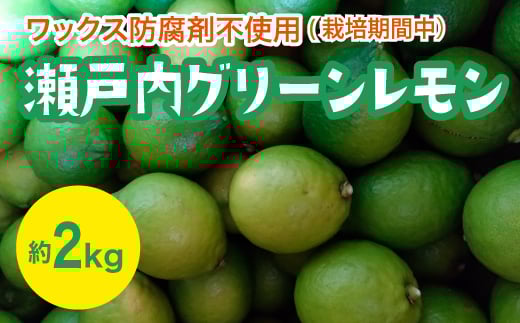 瀬戸内 グリーンレモン 約２kg【栽培期間中防腐剤ワックス不使用】【先行受付】【2025年10月以降発送】レモン 国産 佐木島 三原 広島 フルーツ 果物 柑橘 柑橘類 檸檬 017057
