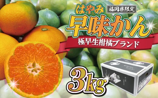 福岡県ブランドみかん「早味かん」3kg みかん オレンジ 果物 フルーツ 冷蔵 福岡県産【2025年9月下旬-10月下旬発送予定】　