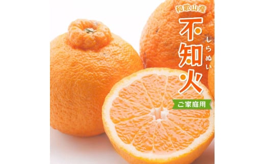 【先行予約】＜2月より発送＞家庭用不知火10kg+250g（傷み補償分）＜2月より発送＞デコポンと同品種 人気の春みかん 訳あり わけあり 光センサー選別 【ikd232】