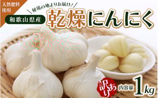 令和７年度産 秘境の地からお届けする あゆみファームの訳あり乾燥にんにく １kg【6月中旬から順次発送】/ にんにく ニンニク 訳あり 予約受付 ガーリック 和歌山【aym005】 1309437 - 和歌山県古座川町