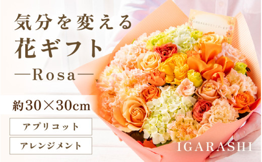 気分を変える花ギフト-Rosa-(アレンジメント・アプリコット) [aw062-c002_05] 1136699 - 福井県あわら市