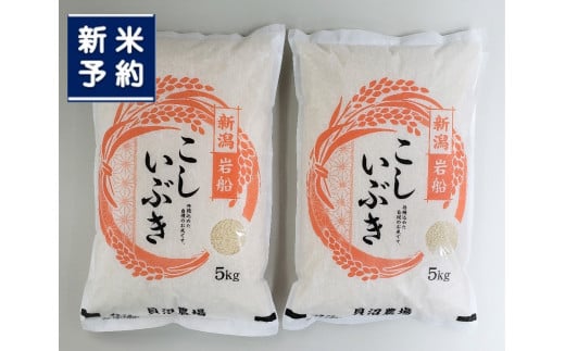 【新米受付・令和7年産米】 こしいぶき 白米10kg(5kg×2) 新潟県村上市岩船産 1067103N 2143598 - 新潟県村上市