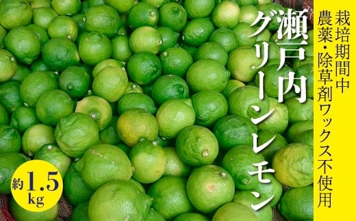 レモン【先行受付】【2025年10月以降発送】【栽培期間中 農薬・除草剤不使用】離島 佐木島！グリーンレモン 約1.5kg   広島 三原 佐木島 鷺島みかんじま 017060