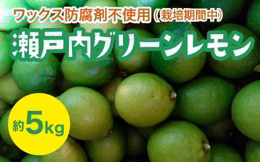 瀬戸内 グリーンレモン 約5kg【栽培期間中防腐剤ワックス不使用】【先行受付】【2025年10月以降発送】レモン 国産 佐木島 三原 広島 フルーツ 果物 柑橘 柑橘類 檸檬 017056