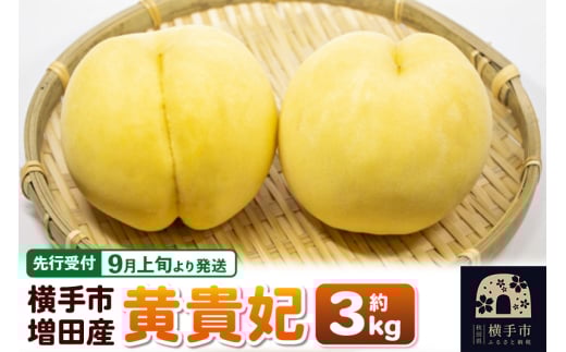 【先行受付】9月上旬より発送 横手市増田産の桃(黄貴妃)約3kg 2142443 - 秋田県横手市