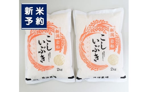 【新米受付・令和7年産米】 こしいぶき 白米4kg(2kg×2) 新潟県村上市岩船産 1067100N 2143595 - 新潟県村上市