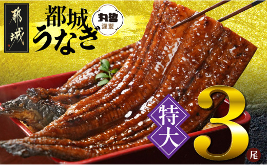 宮崎県育ちの【特大】うなぎ蒲焼3尾680g以上≪山椒・たれ付≫_29-M301_(都城市) 特大うなぎ蒲焼(有頭) 宮崎県産 真空 山椒・たれ付