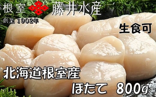 C-42072 \漁業者応援品/【北海道根室産】お刺身帆立貝柱800g 273656 - 北海道根室市