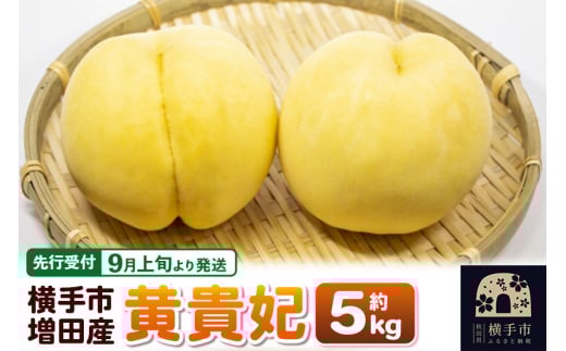 【先行受付】9月上旬より発送 横手市増田産の桃(黄貴妃)約5kg 2142444 - 秋田県横手市
