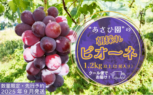 アイテムID:368951の画像1枚目