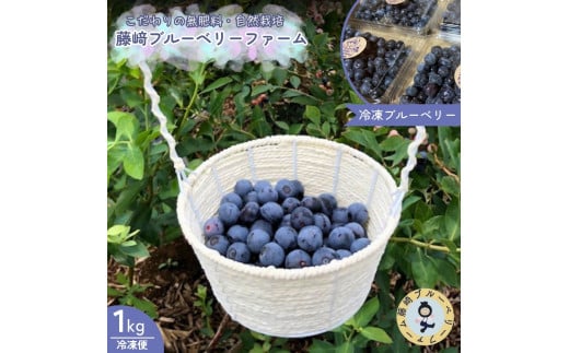 冷凍 ブルーベリー 1kg 国産ブルーベリー 千葉県産 酒々井町産 自然栽培 小分けパック 藤崎ブルーベリーファーム