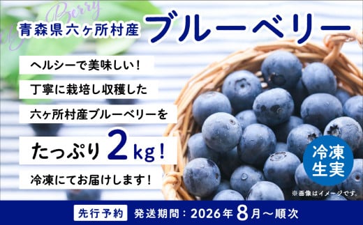 青森県六ヶ所村のふるさと納税 《先行予約 2026年8月中旬～順次出荷》 青森県 六ヶ所村産 ブルーベリー 冷凍生実 2kg
