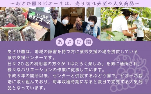 アイテムID:368951の画像3枚目