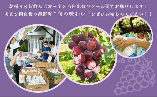 アイテムID:368951の画像4枚目