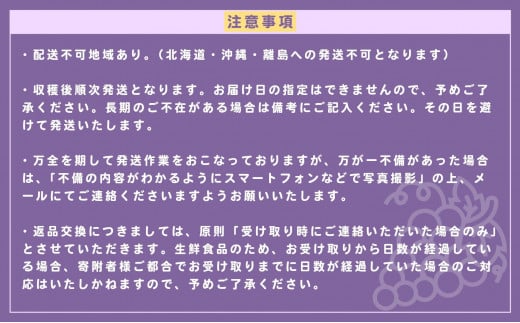 アイテムID:368951の画像6枚目