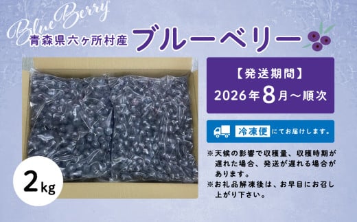 青森県六ヶ所村のふるさと納税 《先行予約 2026年8月中旬～順次出荷》 青森県 六ヶ所村産 ブルーベリー 冷凍生実 2kg