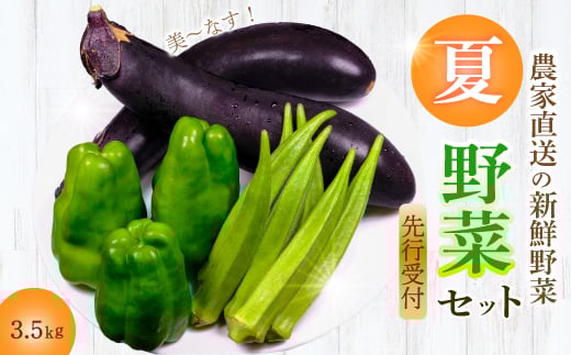 【先行受付】みのる農園 農家直送！夏野菜セット(ピーマン、ナス、オクラ)3.5kg やさい 詰合せ BBQ 2025年7月～10月上旬お届け 広島県三原市 206002 2150608 - 広島県三原市
