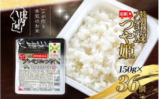 ＜8月中旬発送＞6か月定期便！プレミアムつや姫 パックごはん 36個（入金期限：2025.7.25）