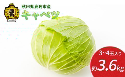 《 先行予約 》 秋田県鹿角産 キャベツ 約3.6kg（3～4玉入）●2025年12月上旬発送開始【恋する鹿角カンパニー】新鮮 旬 産地直送 安全 甘い 採れたて 国産野菜 お取り寄せ グルメ ギフト お中元 お歳暮 秋田 あきた 鹿角市 鹿角 秋田県 鹿角産 送料無料 2133848 - 秋田県鹿角市