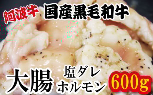 ホルモン 大腸 阿波牛 塩漬け 200g×3パック 小分け 計600g  国産 牛 黒毛和牛 鍋 焼肉 脂 焼き シマチョウ もつ 肉 牛肉 BBQ 【北海道・東北・沖縄・離島への配送不可】 2140538 - 徳島県小松島市
