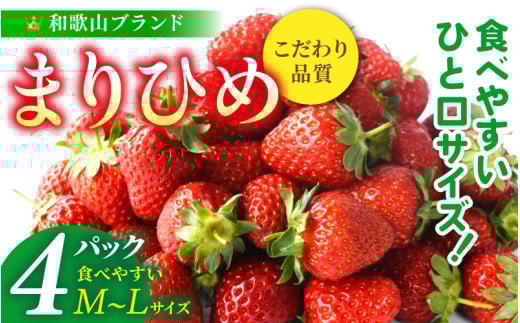 【先行予約】まりひめイチゴ4パック 食べやすいひと口サイズ M～L（15粒～20粒入×4パック）【2026年1月初旬～3月下旬頃に順次発送】（お届け日指定不可）/ いちご 苺 まりひめ 和歌山 フルーツ【kgr034】